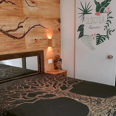 Clorofila House Glamping Naturista Ubatuba Luaran gambar