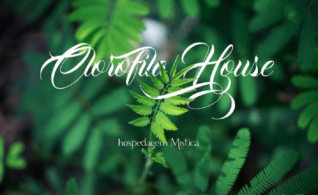Clorofila House Glamping Naturista Ubatuba Luaran gambar
