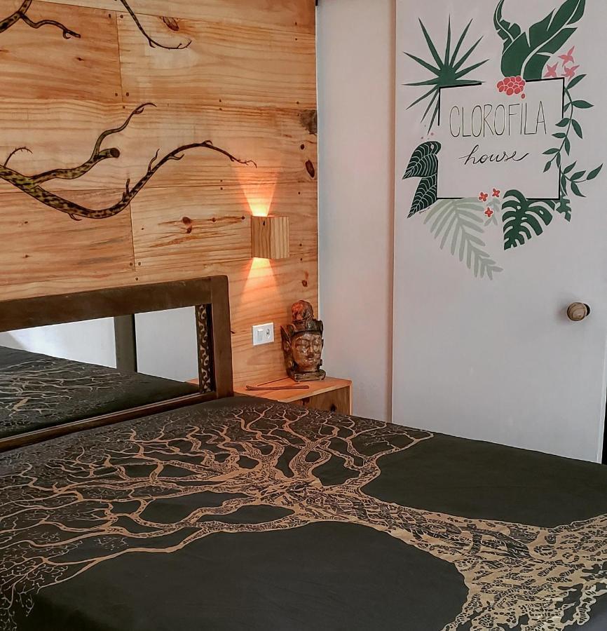 Clorofila House Glamping Naturista Ubatuba Luaran gambar