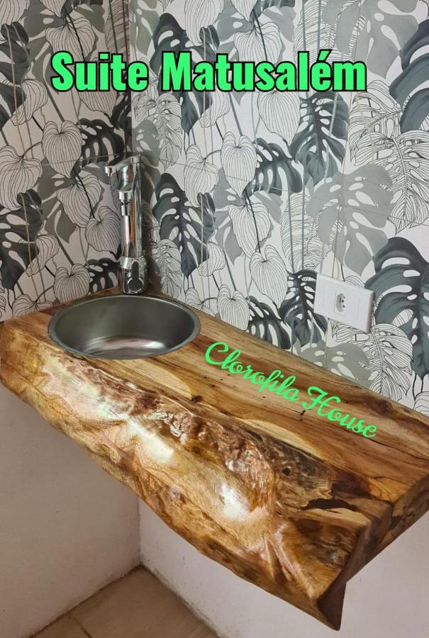 Clorofila House Glamping Naturista Ubatuba Luaran gambar