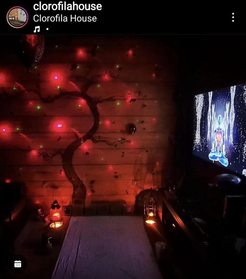 Clorofila House Glamping Naturista Ubatuba Luaran gambar