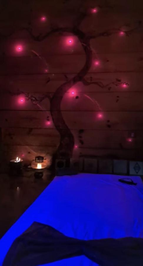 Clorofila House Glamping Naturista Ubatuba Luaran gambar